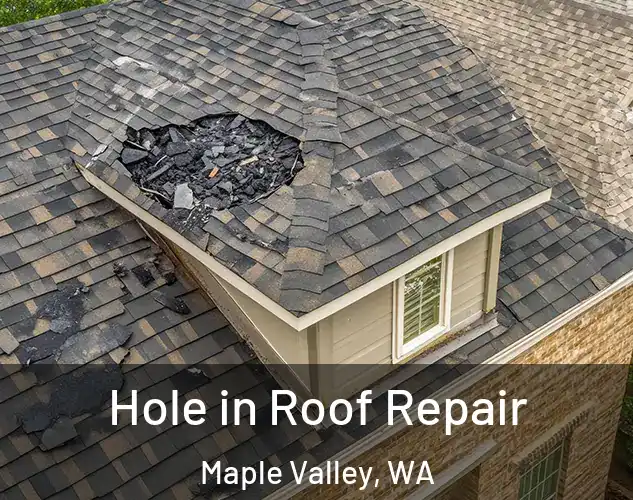  Hole in Roof Repair Maple Valley, WA