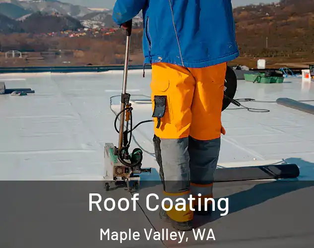  Roof Coating Maple Valley, WA