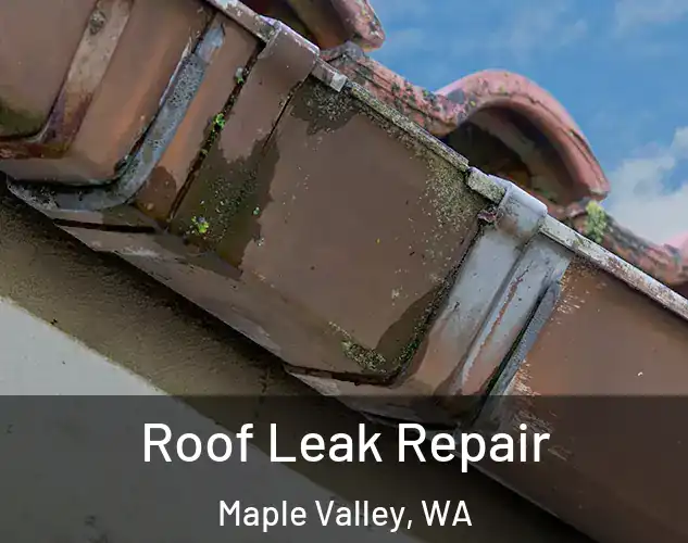  Roof Leak Repair Maple Valley, WA