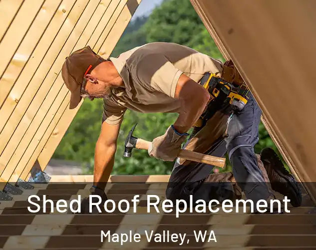  Shed Roof Replacement Maple Valley, WA