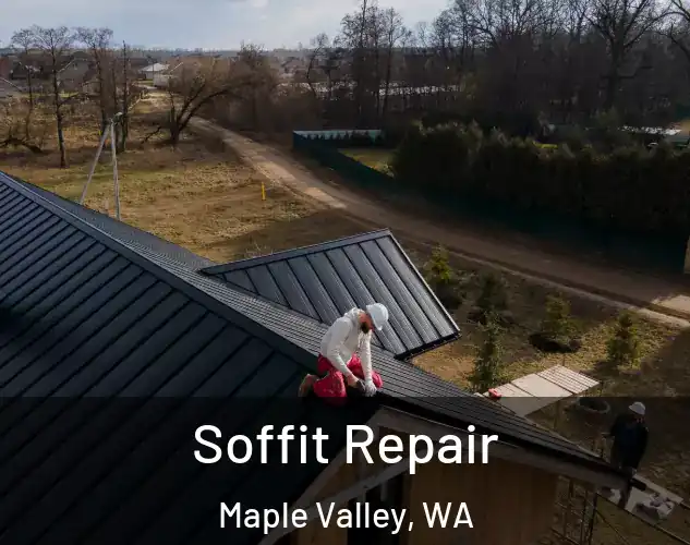  Soffit Repair Maple Valley, WA